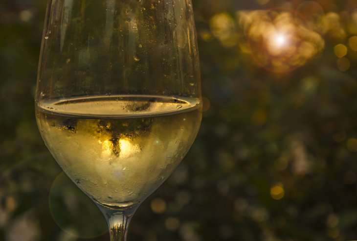 Todo lo que necesitas saber sobre el vino Colombard