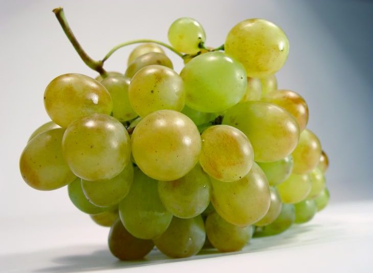 3 cosas sorprendentes que no sabías (o sí) sobre la uva Chenin Blanc