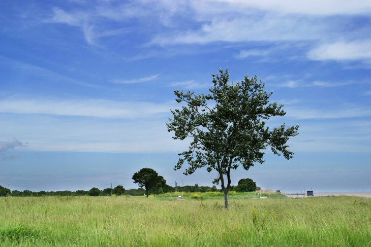 Prepara tu visita a Château Lynch-Bages