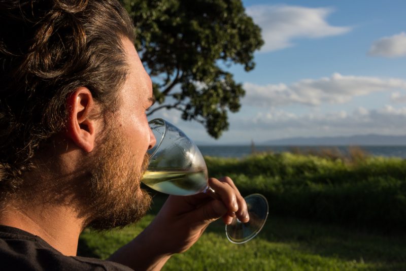 ¿Te gusta el Pinot Grigio? Disfruta de estos vinos en su lugar