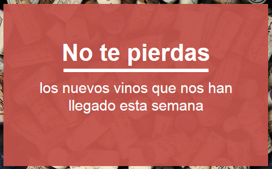 Nuevos vinos