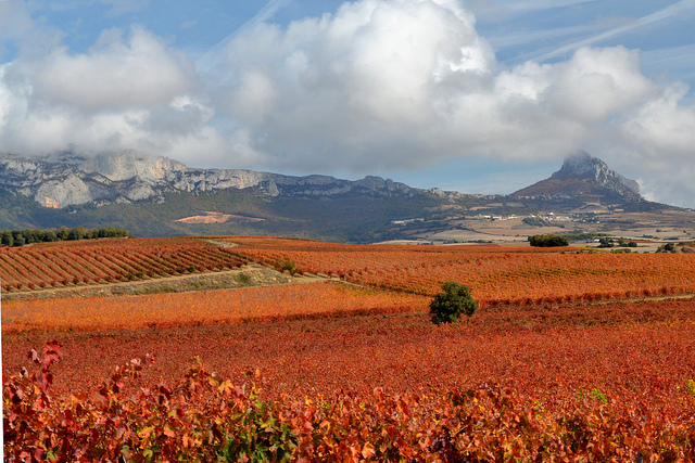 rioja-alavesa