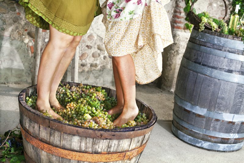 ¿Cuántas uvas hacen falta para elaborar una botella de vino?