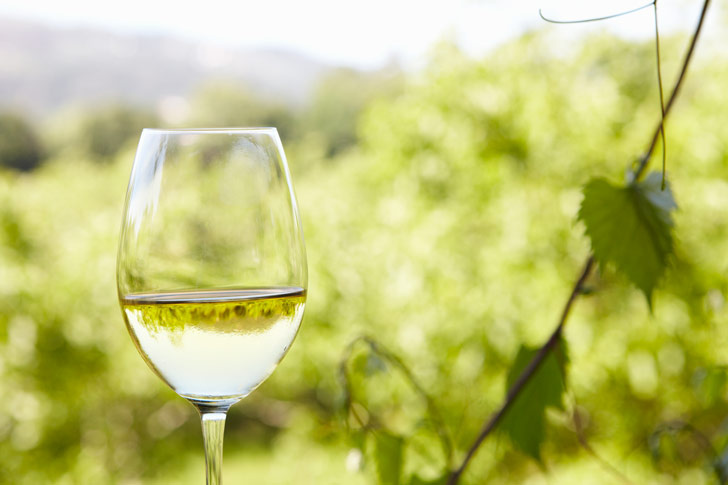 vino blanco