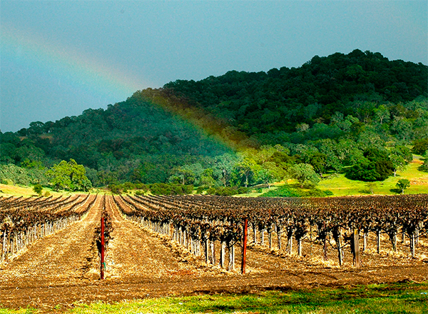 El vino y las personas