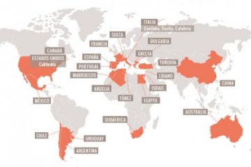 arte-grenache-du-monde-es-560x345