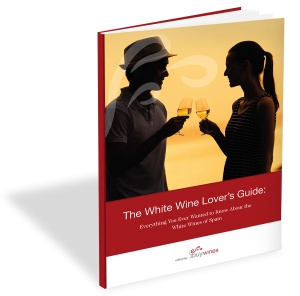 eBuyWines_Portada 3D_White Wines of Spain (1)
