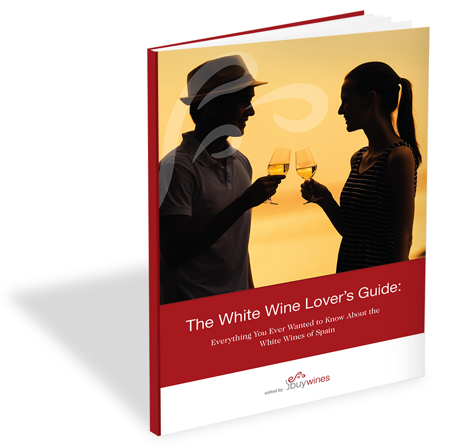 eBuyWines_Portada 3D_White Wines of Spain (1)